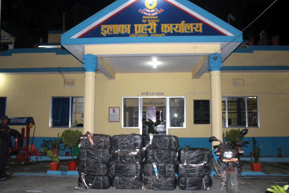 पटनाली जंगलमा ४३० केजी गाँजा भेटियो