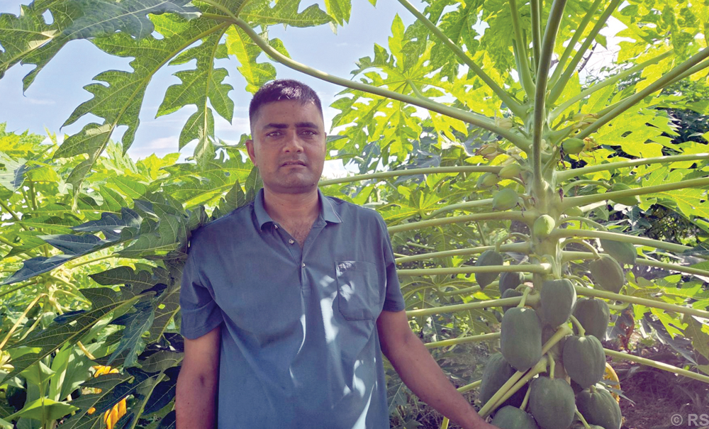 सुनसरीमा प्रहरीबाट अवकाशपछि कृषि पेसामा रमाइरहेका अर्जुन