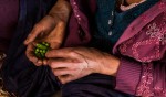 असुध्रिने हामी नेपाली