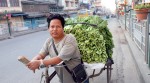 साग बेचेर गुजारा