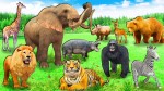 जलवायु परिवर्तनको असर प्रजातिहरुमा