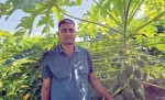 सुनसरीमा प्रहरीबाट अवकाशपछि कृषि पेसामा रमाइरहेका अर्जुन