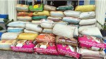 ८०४ केजी गाँजासहित दुईजनालाई पक्राउ