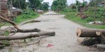 सुनसरी घटना जहाँ भएको थियो, खुलेन बजार, खुलेनन् जनता