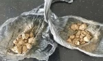 धरानबाट ब्राउन र गाँजासहित सुगरसहित पक्राउ