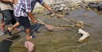 सुनसरीमा माछा मार्न गएका युवाको मृत्यु