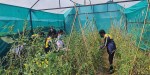 सरकारले पढ्दै कमाउँदै कार्यक्रमलाई प्रोत्साहन गर्ने
