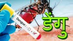 डेंगी सार्ने लामखुट्टेः असोज निकै जोखिमपूर्ण 