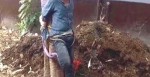 रुखमा बाँधेर राख्दा गयो ज्यान