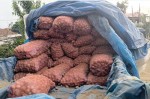 गाउँका आलु सहरका भान्सामा