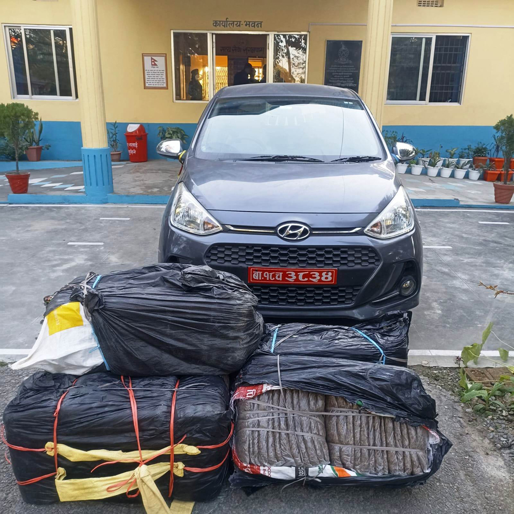 धरानमा लागूऔषधसहित पक्राउ, १३० केजी गाँजासहित पनि दुईजना पक्राउ