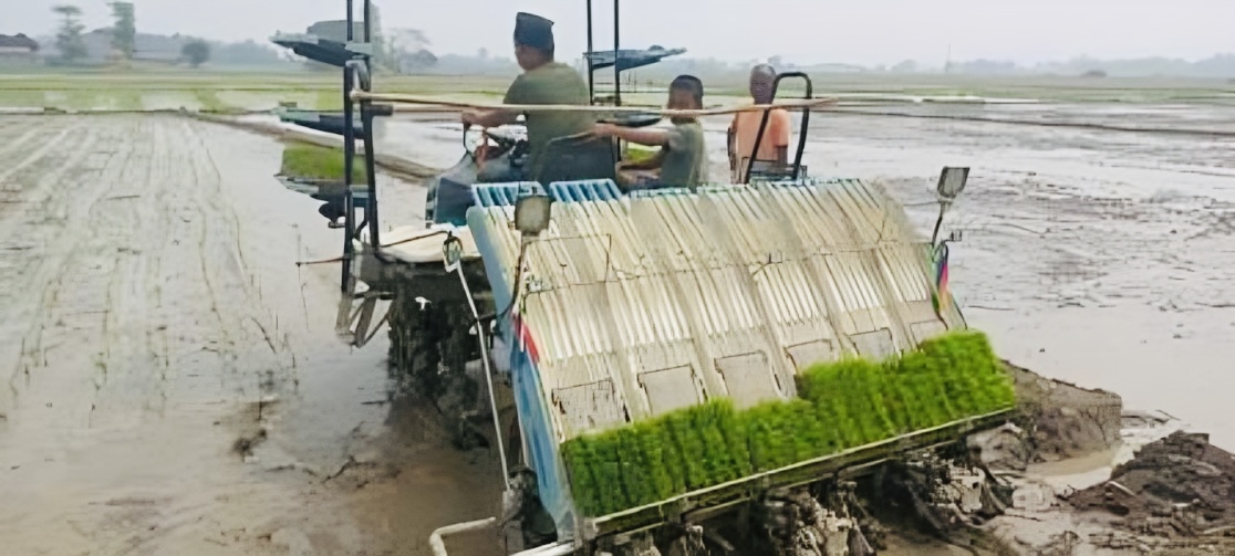 धान खेतीमा सहजता