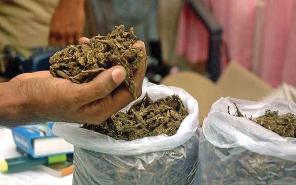 धरानमा पिकअप गाडीको डालामा भेटियो गाँजा, चालक, सहचालक पक्राउ