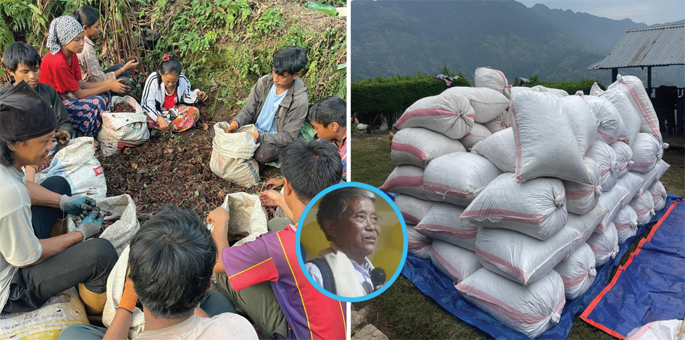 पूर्वमा अलैंची अर्थात् सुन फलाएर ५७ लाख कमाउने कृषक
