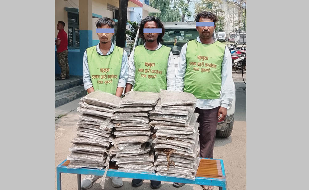 धरानमा स्कारपियो गाडी र ५० केजी गाँजासहित तीनजना नियन्त्रणमा