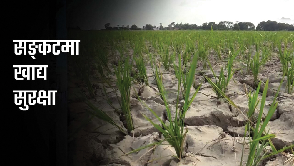 किसानको मन कुँडिदै, खाद्य अभावको संकेत