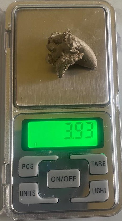 धरानमा ब्राउन सुगर भेटिएपछि युवा पक्राउ