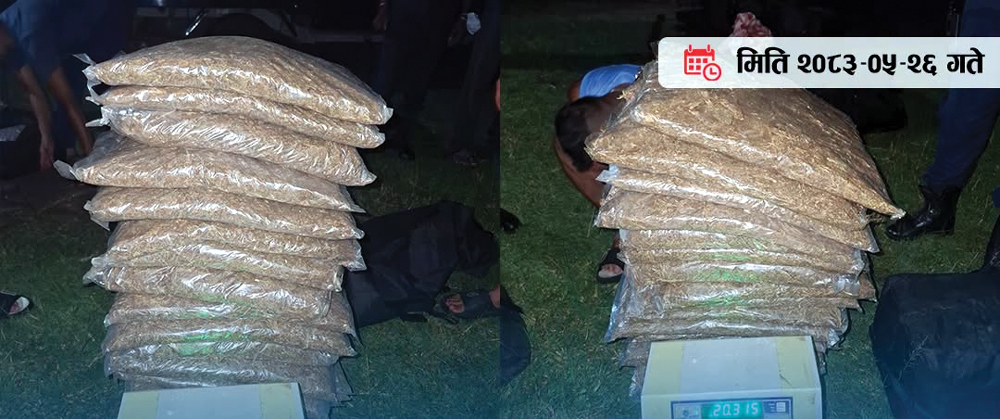 १ सय किलो १६४ ग्राम गाँजा बरामद