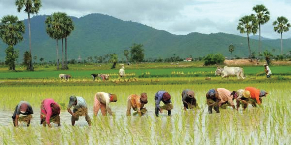 असार १५ को यस्तो छ महत्त्व र इतिहास