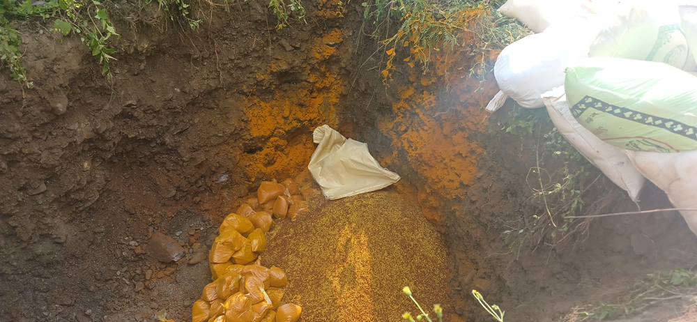 धरानमा अखाद्य बेसार नष्ट