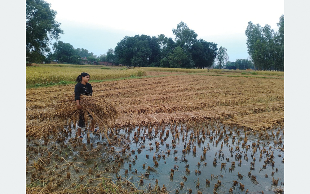 भारी वर्षा र हिमपातको सम्भावना